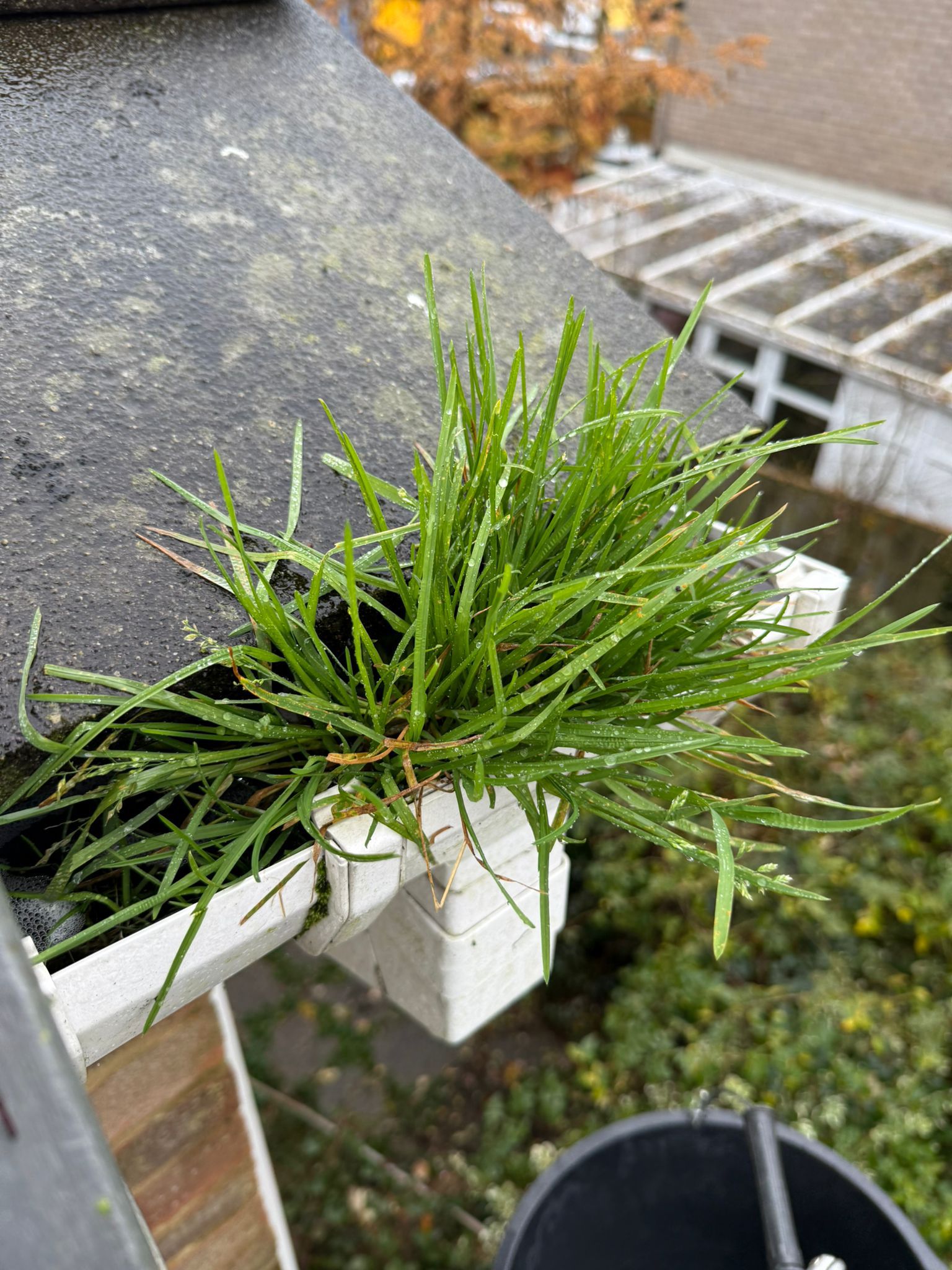 Blocked gutter downpipe in Kempston